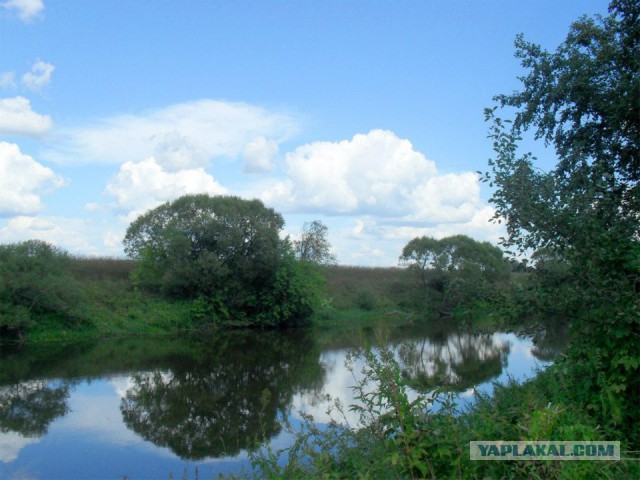 Хочу в Россию.