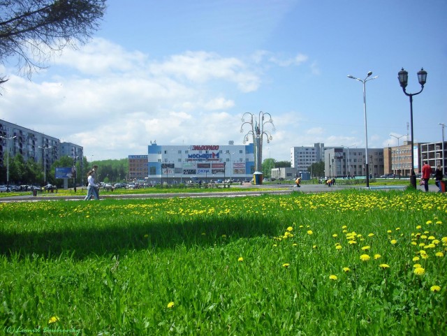 В черном городе