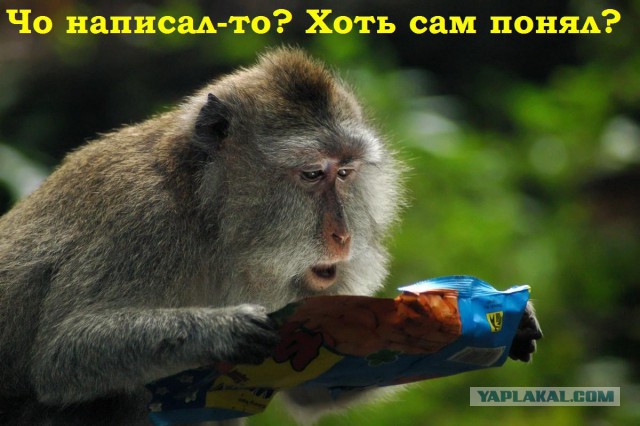 Top_lap обиделся на Яп
