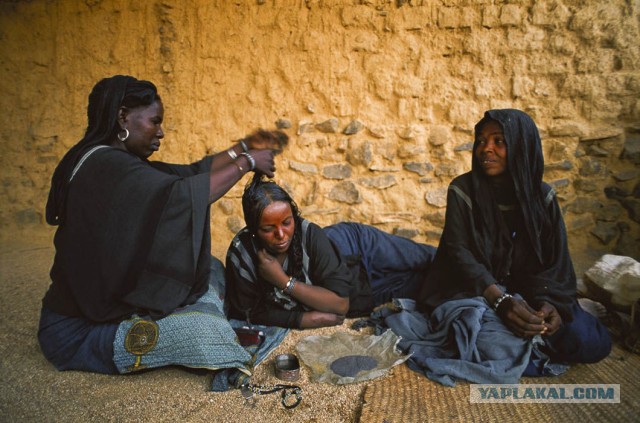 Туареги: жизнь при матриархате