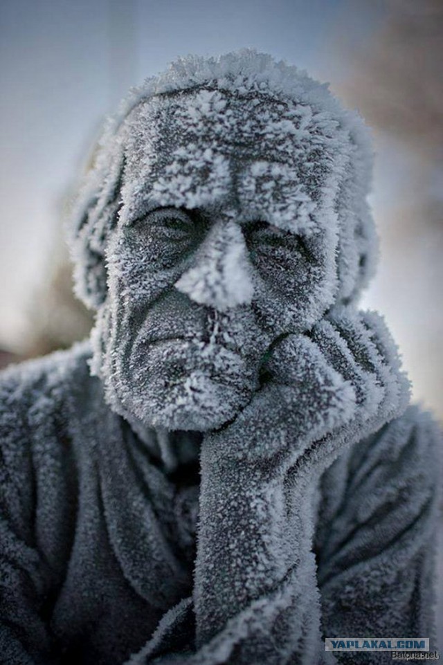 Из жизни долболобов