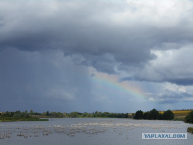 Я узнал, что у меня есть огромная семья