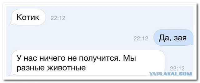 Смешные комментарии 08.03.2016
