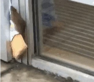 Рататуя уволили