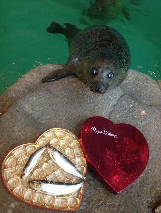 Подборка интересных и веселых фото