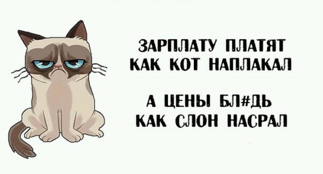 Забавные картинки вразнобой