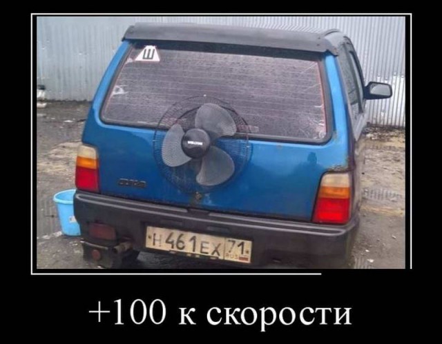 Подборка безудержного веселья