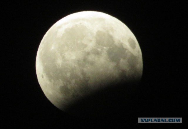 В планетарии рассказали о подробностях лунного затмения 7 августа