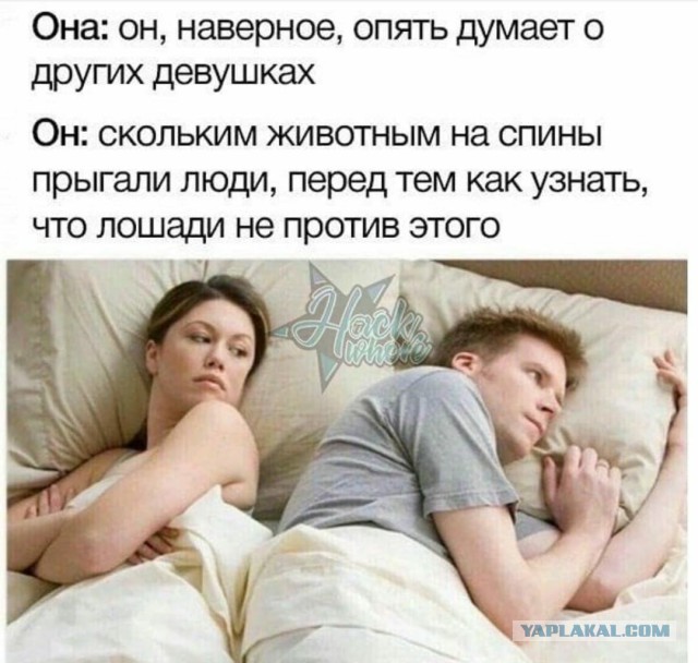 Смешные комментарии из социальных сетей 09.06.2018