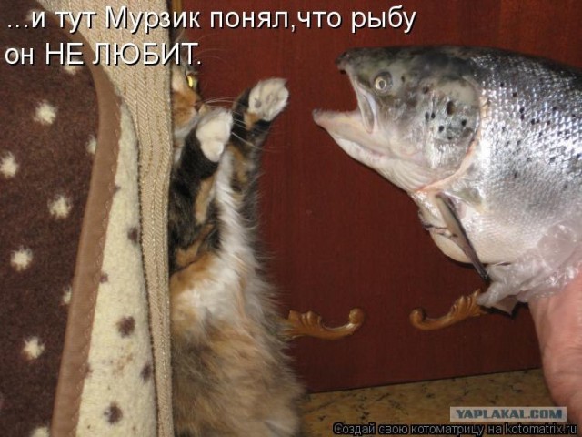 А силенок-то хватит?