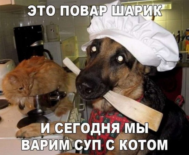 Дурацкие картинки