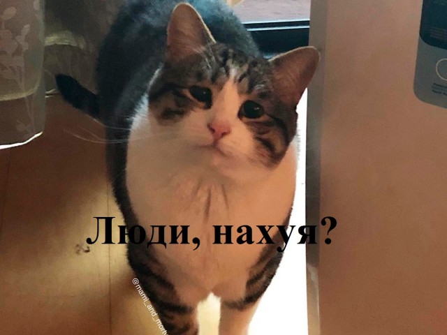 Простой способ травмировать нежную психику накуренных друзей