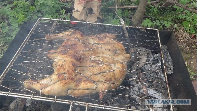 Непонятно что она делала или хотела сделать