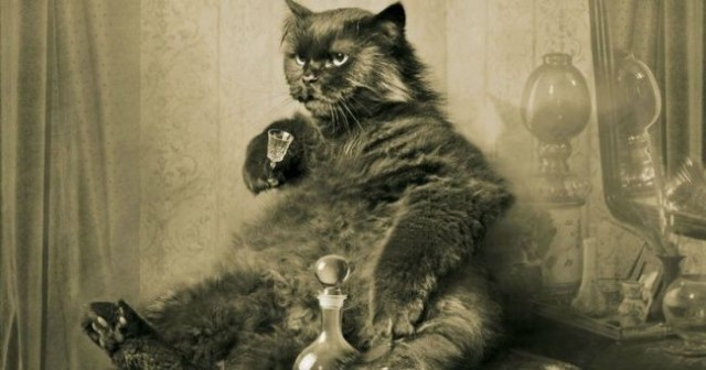 Куриное филе с голубым сыром с персиком и салатом