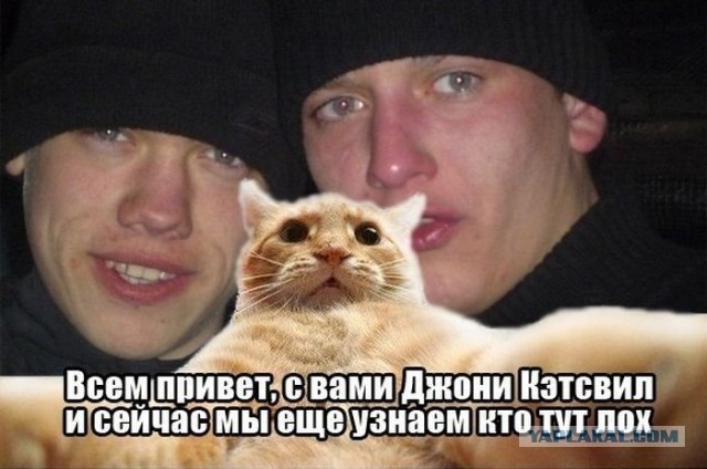Приключения Джонни Кэтсвилла