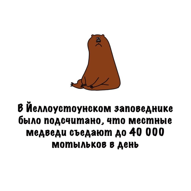 Картинки на субботу