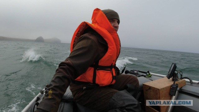 Кунашир. Море. Рыбалка