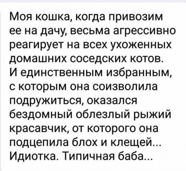 Обитель для бастардов