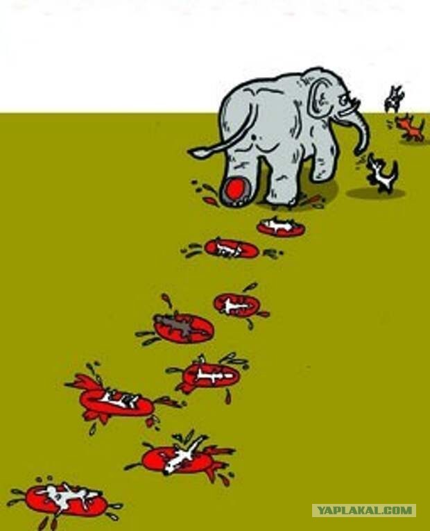 Глава ЕК выступила против бойкота G20 с участием Путина