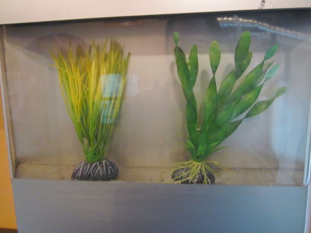 Музей истории космонавтики. г. Калуга