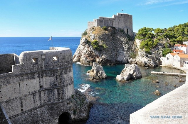 Любовь с первого взгляда