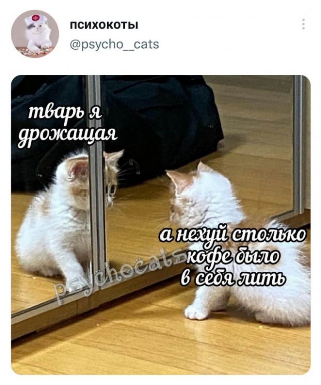 Картинки и мемы для настроения - 17