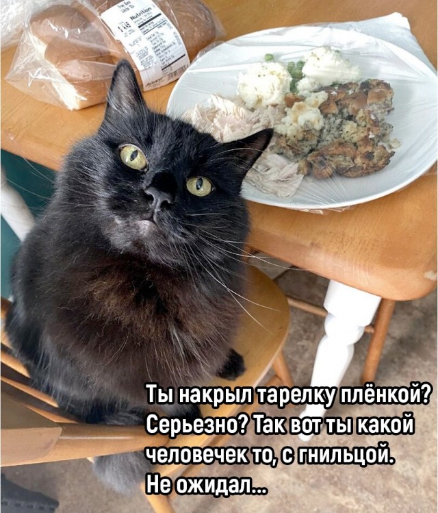 Так себе картинки 13.10.22