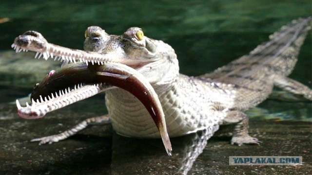 38 удивительных фото, поражающих воображение