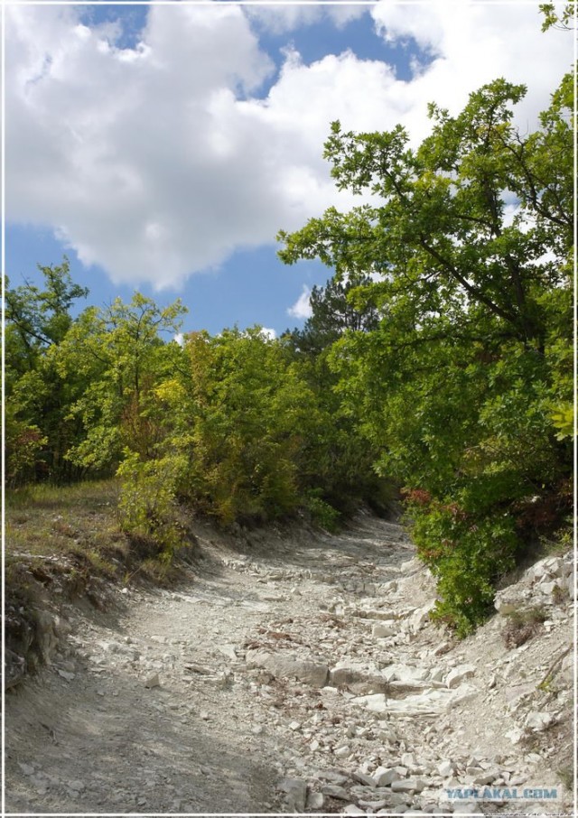 Крым. Новоульяновка. Водохранилище.