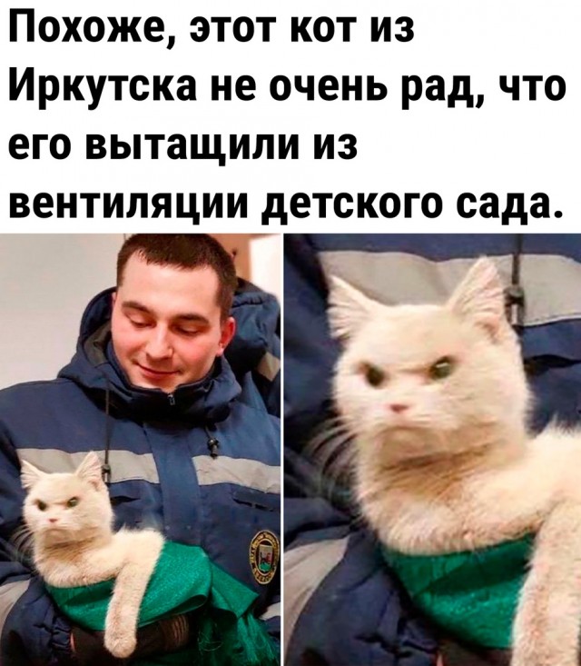 Так себе картинки 31.12.22