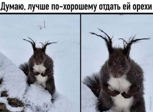 Немного картинок для настроения/постпраздничное