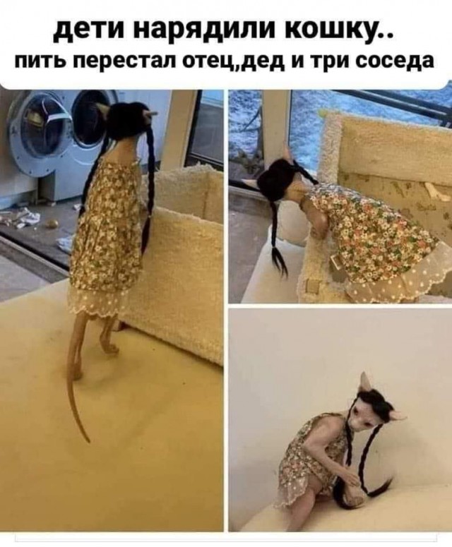 Ничего-ничего, кожаный, мы позже сочтёмся...