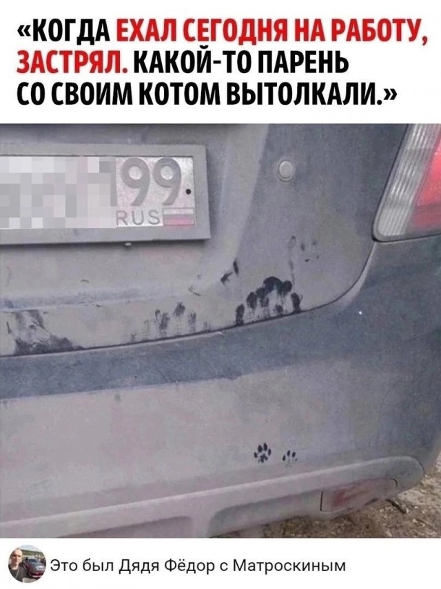 Так себе картинки 09.04.24
