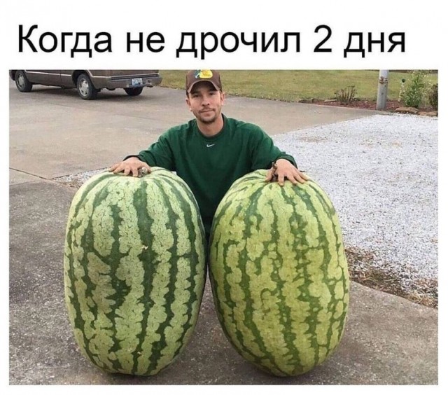 Весёлый полтишок 05.05.24