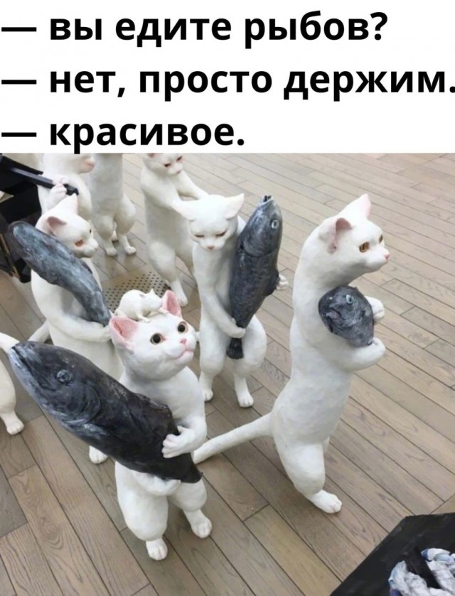 Так себе картинки 23.10.24