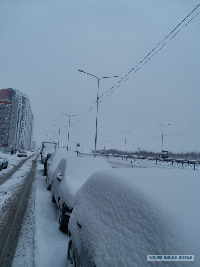 В Питере снова снег...