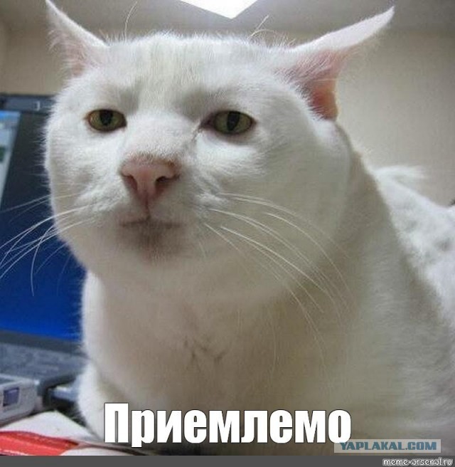 После встречи с сыновьями Бритни Спирс опять принялась за старое