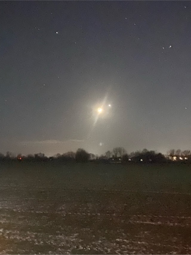 Венера в самом соку