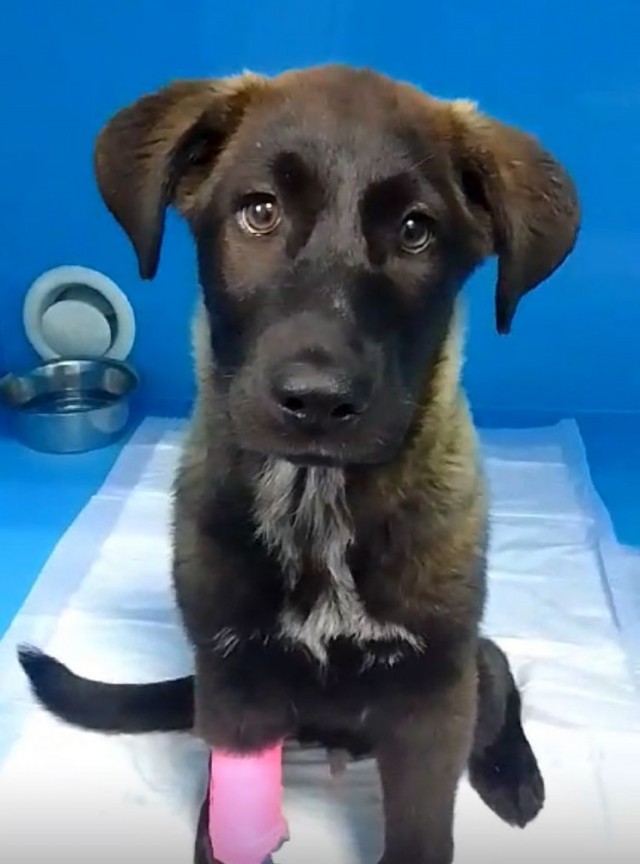 Вы где шлялись? Я вас так ждала!