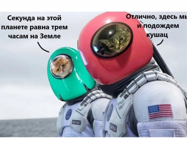 Так себе картинки 12.06.25