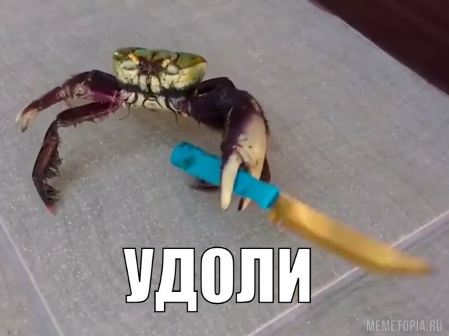 Краб снял видео про свою жизнь под водой на iPhone, который утопила туристка