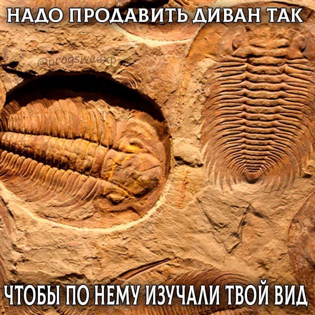 Картинки для деградации 34 (разной степени свежести)