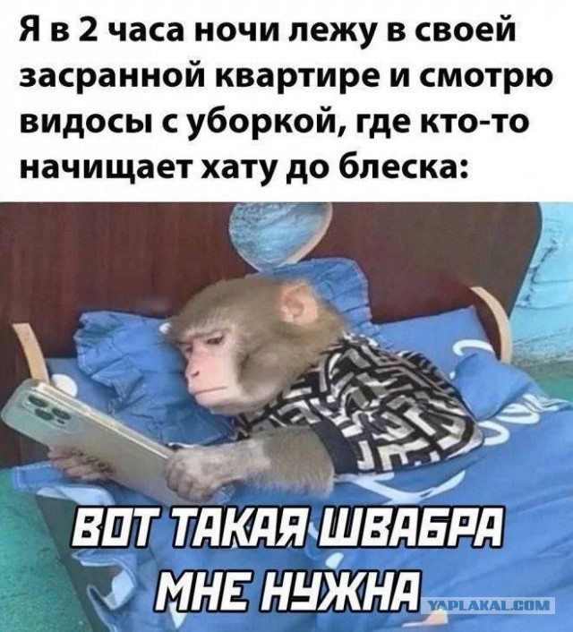 Четверговые картинки