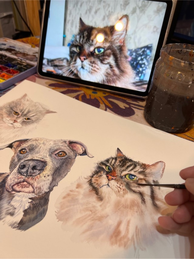 Групповой портрет - 2 кошки и собака