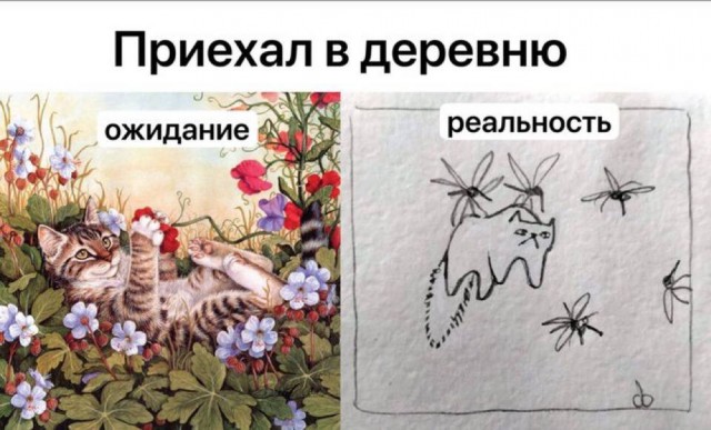 Дегрономикон 7