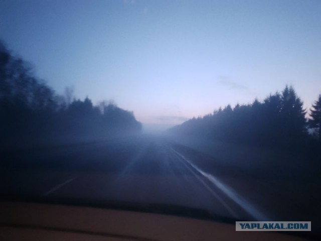 Жизнь домашнего приюта для котеек 566
