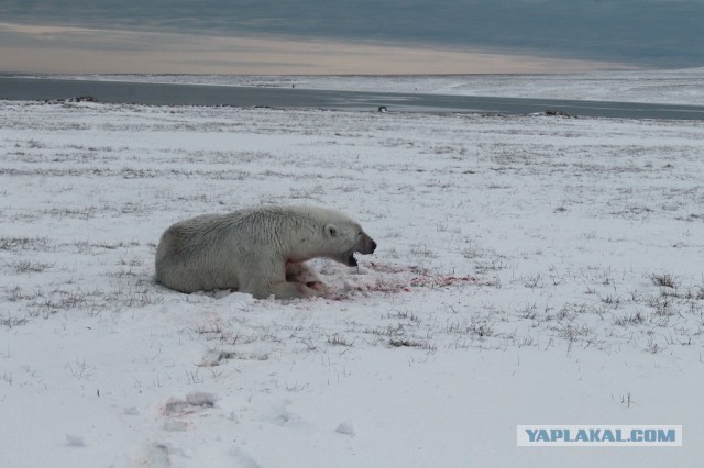 Cтанция Валькаркай