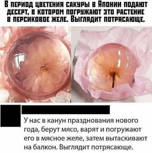 Веселые картинки в пятницу (16.01)