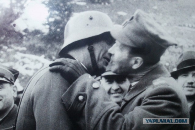 Песков: ненависть ко всему русскому взяла верх у руководства Польши