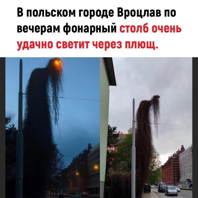 Веселые картинки в маленькую пятницу